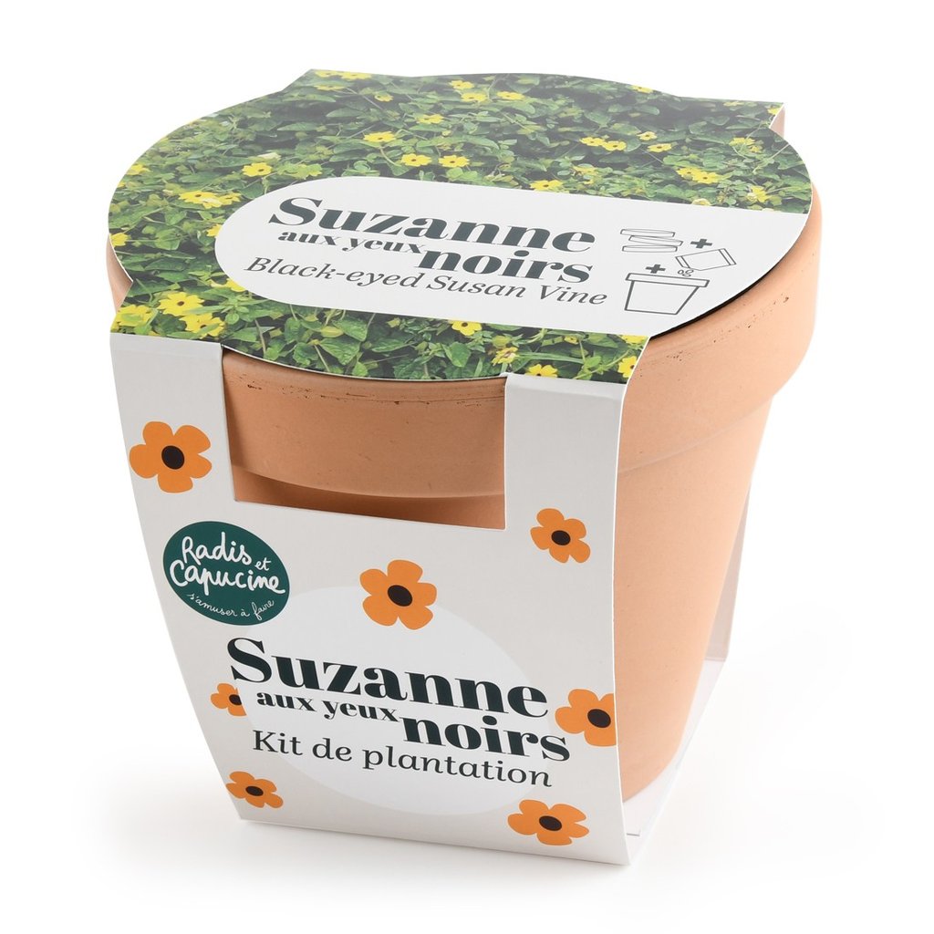 Pflanzset Schwarz�ugige Susanne