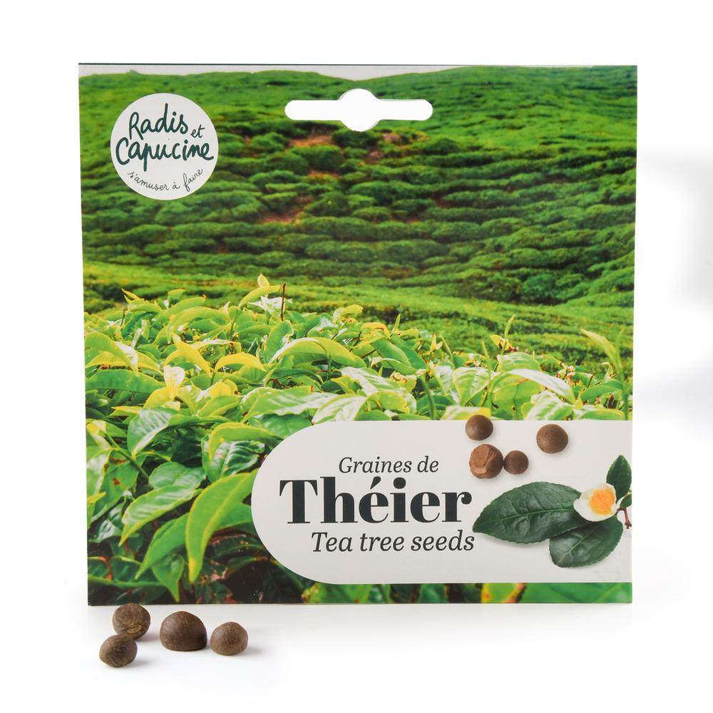China Tea Tree Seed Kit