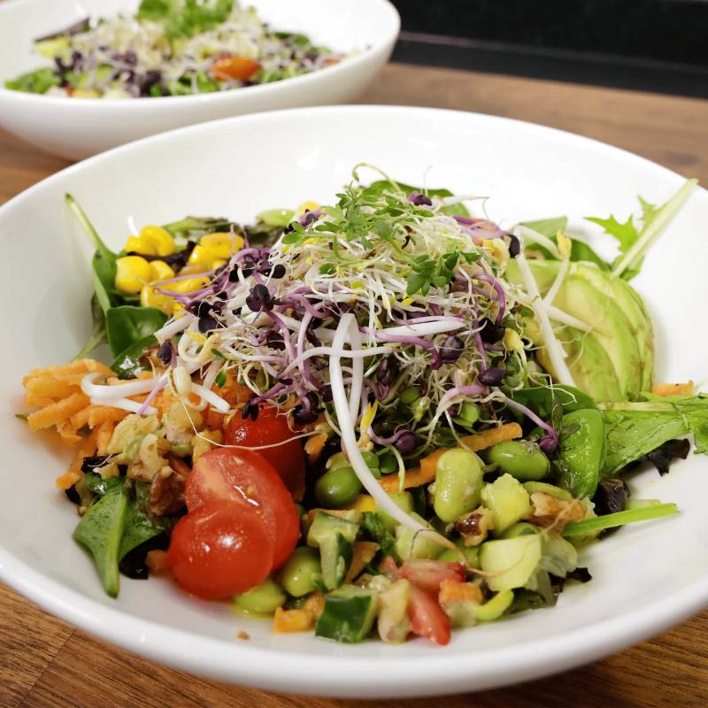Sprouting Seed Set  Fitness