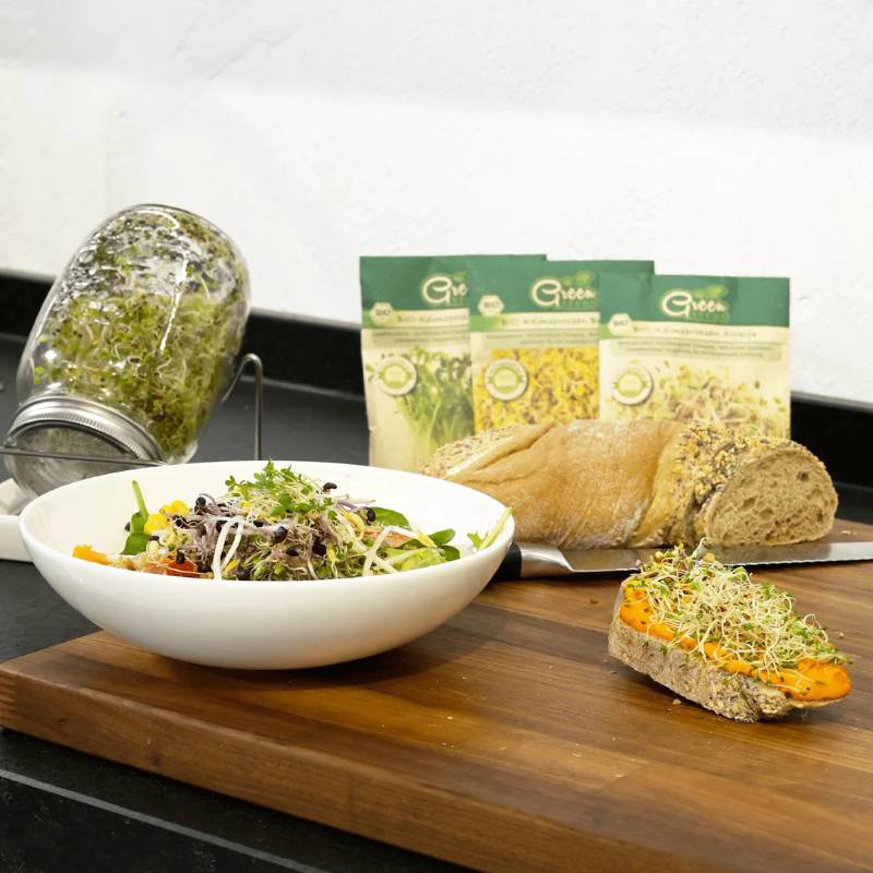 Gourmet Sprouting Seed 3-Piece Set