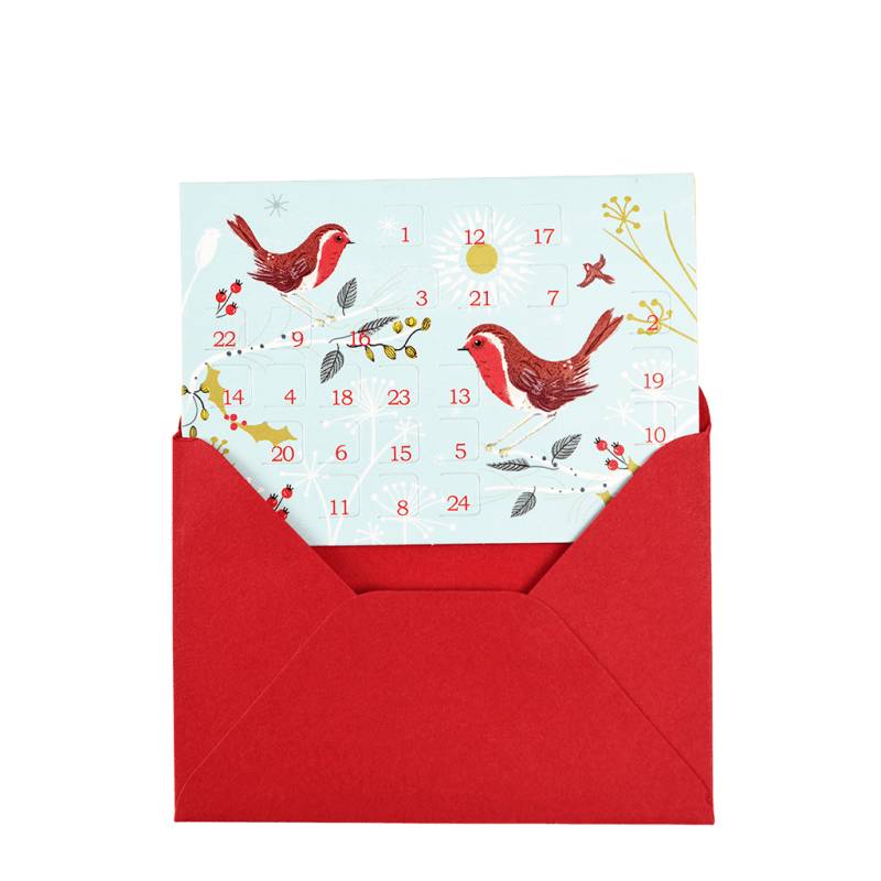Weihnachtskarten-Adventskalender Rotkehlchen