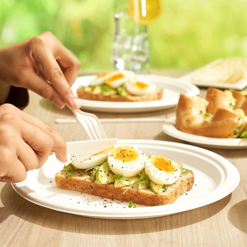 100 Round Sugarcane Plates
