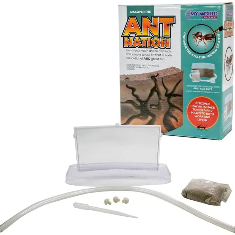 Ant Colony