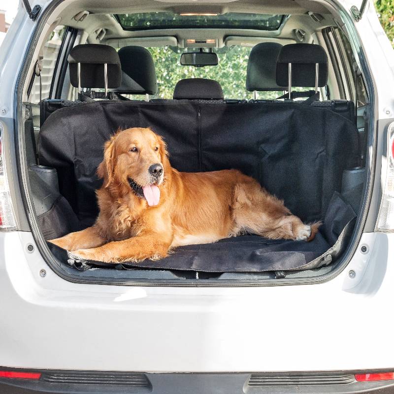 Protective Car Cover for Pets