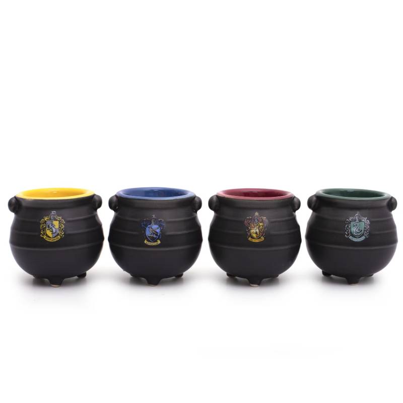 Harry Potter Espresso Cups Set