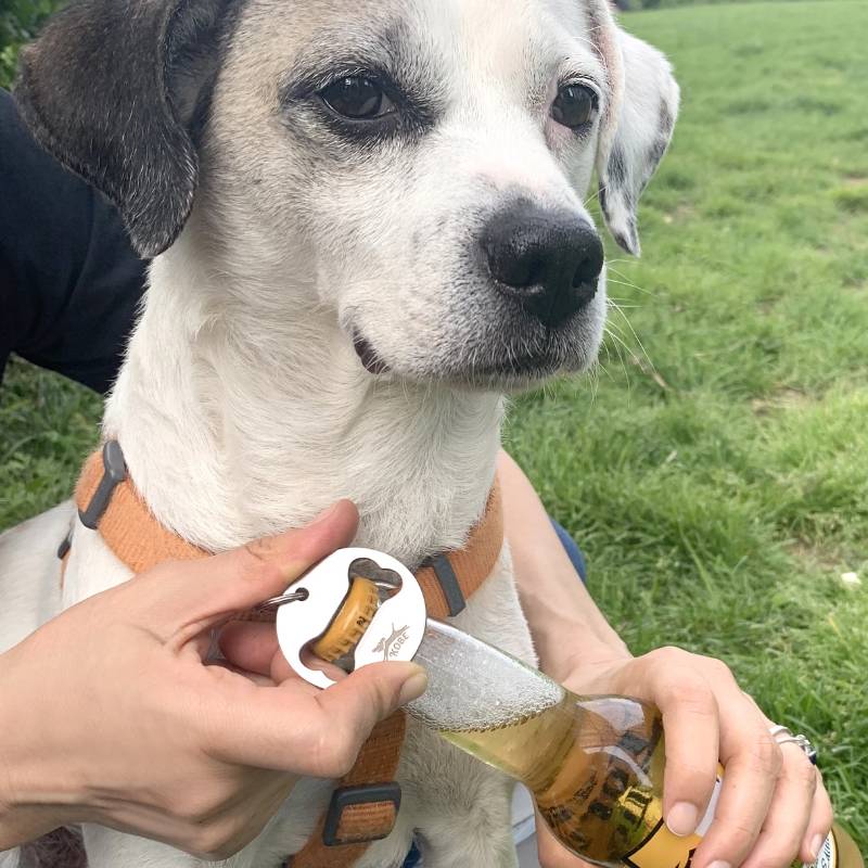 Dog Collar Bottle Opener