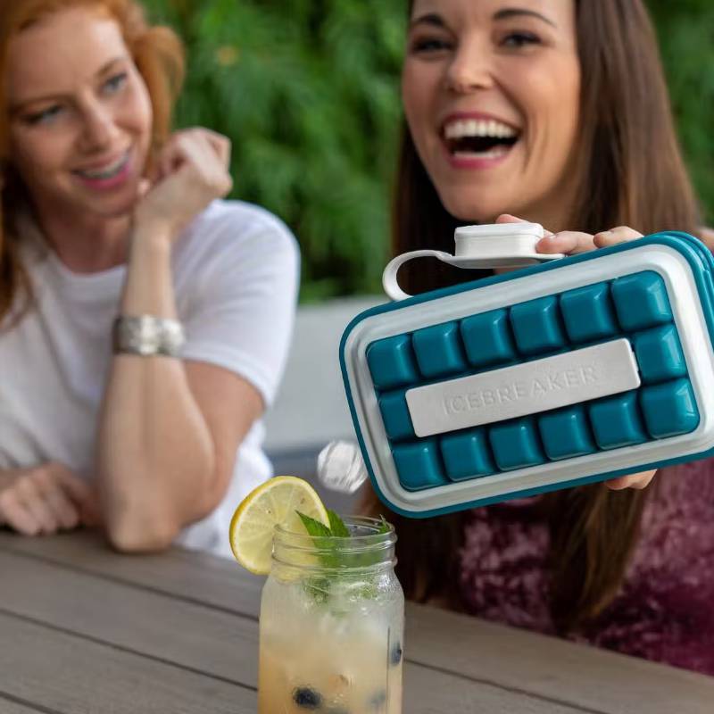 Icebreaker Ice Cube Tray