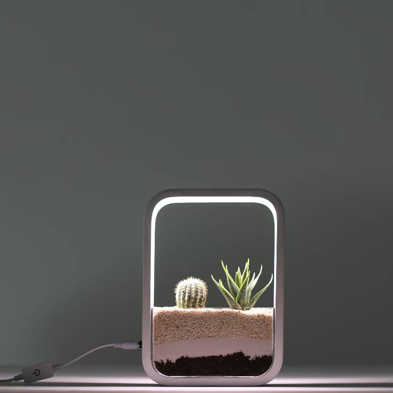 Indoor Garden