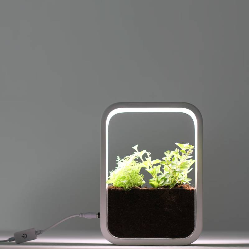 Indoor Garden