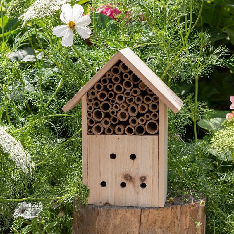 Casetta da Giardino per Insetti