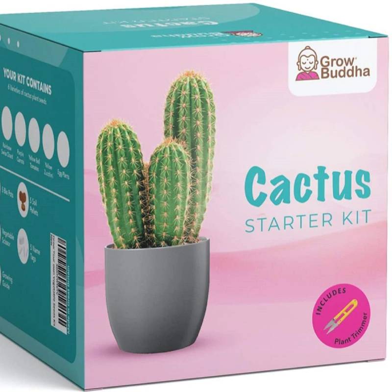 Grow Your Own Cactus Starter Kit