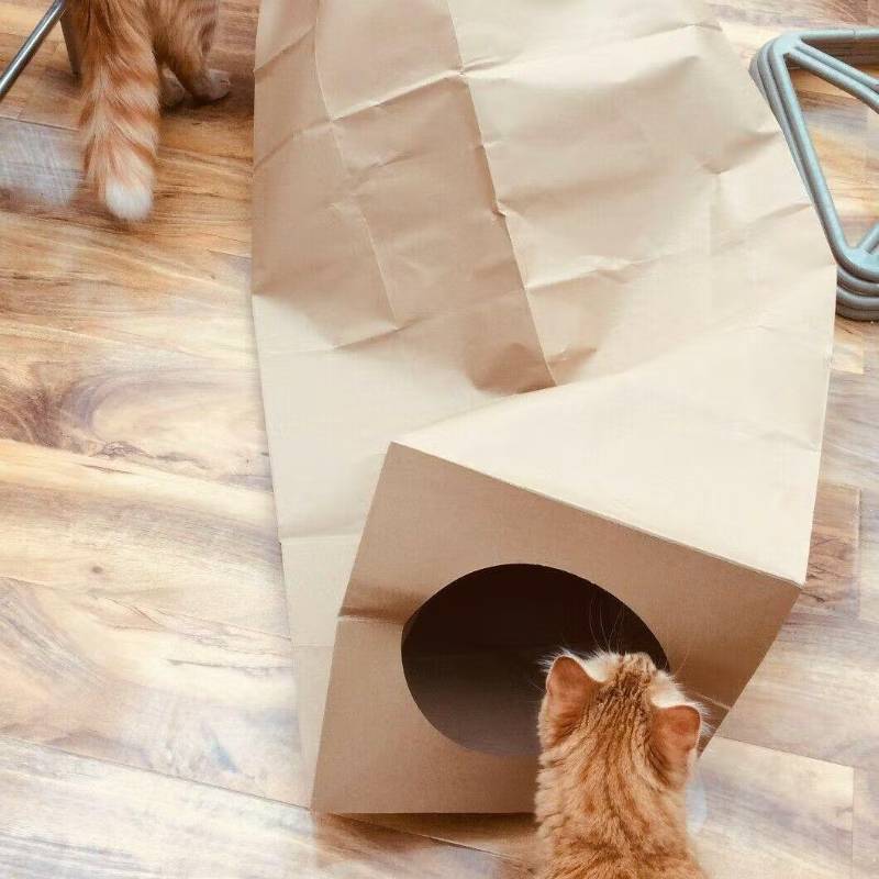 Cardboard cat tunnel top