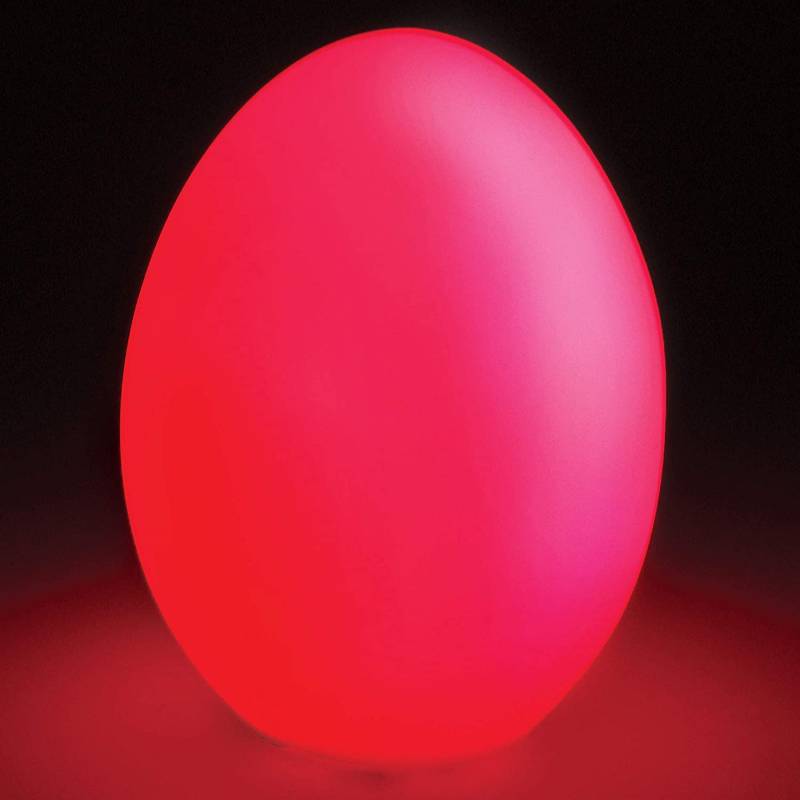 Lumo Light Up Egg