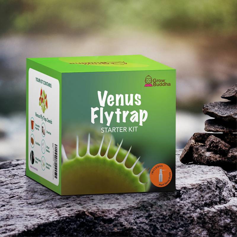 Grow Your Own Venus Flytrap Starter Kit