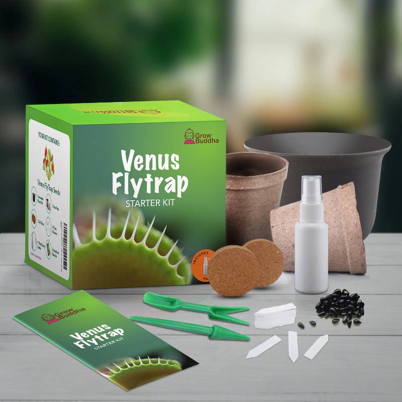 Grow Your Own Venus Flytrap Starter Kit