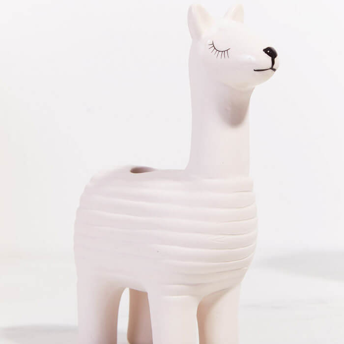 Llama Chia Pet