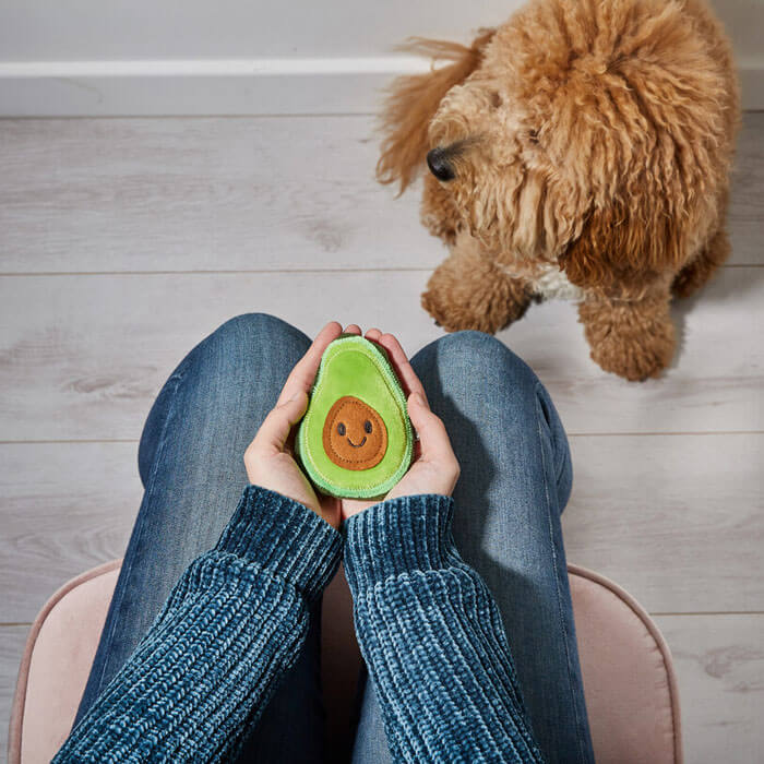 Pocket Pal Avocado