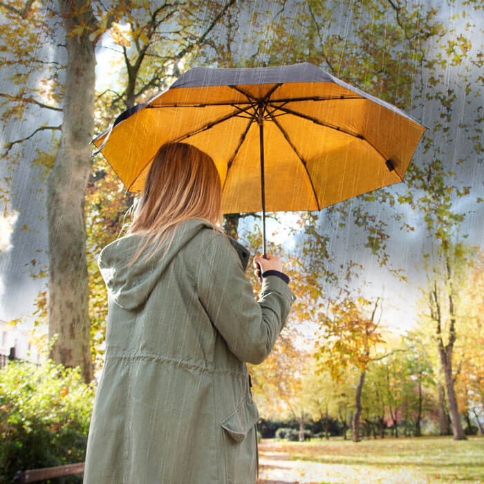 Schwarz-Goldener Regenschirm