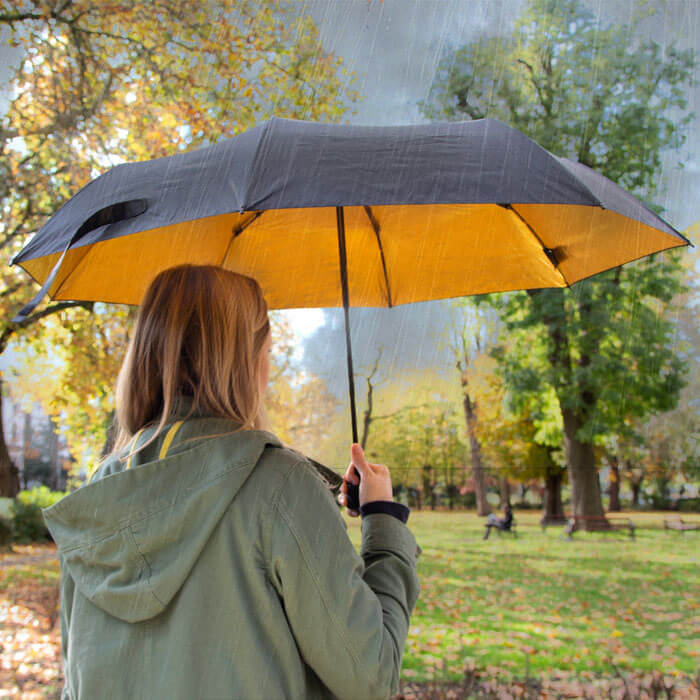 Black and Gold Umbrella