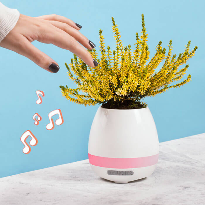 Pot de Fleur Musical