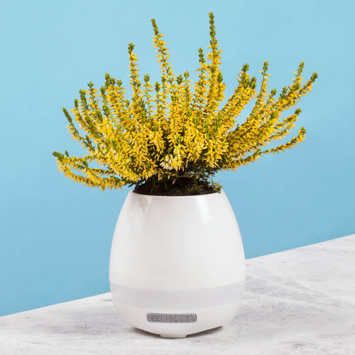 Plant Pot Speaker