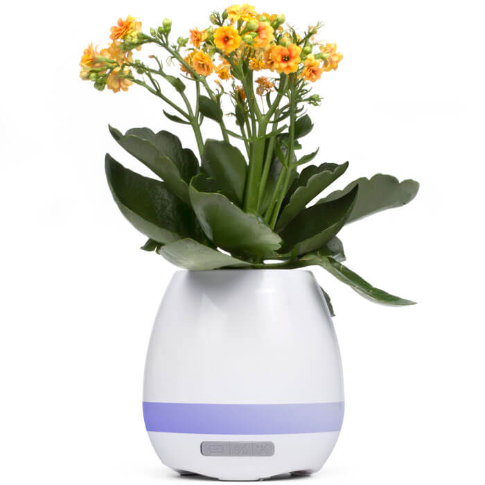 Plant Pot Speaker