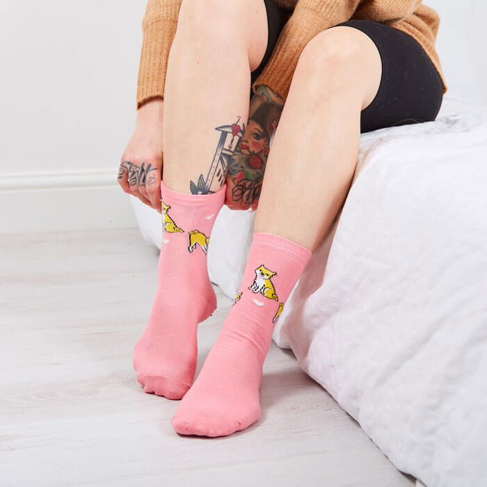 Corgi Socks