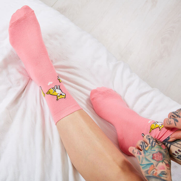 Corgi Socks