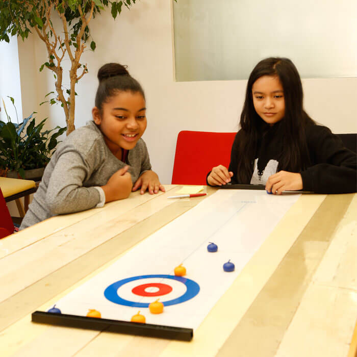 Table Top Curling Game