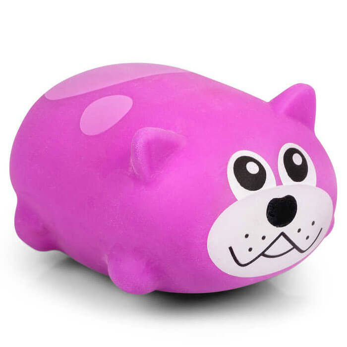 Cute Squeezy Dog