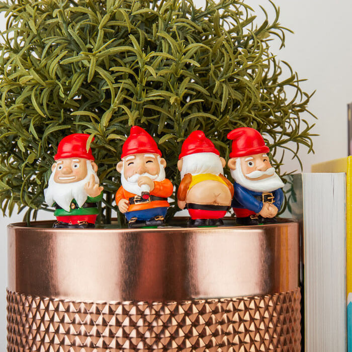 Mini Plant Pot Naughty Gnomes