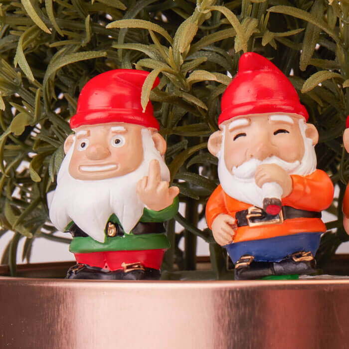 Mini Plant Pot Naughty Gnomes