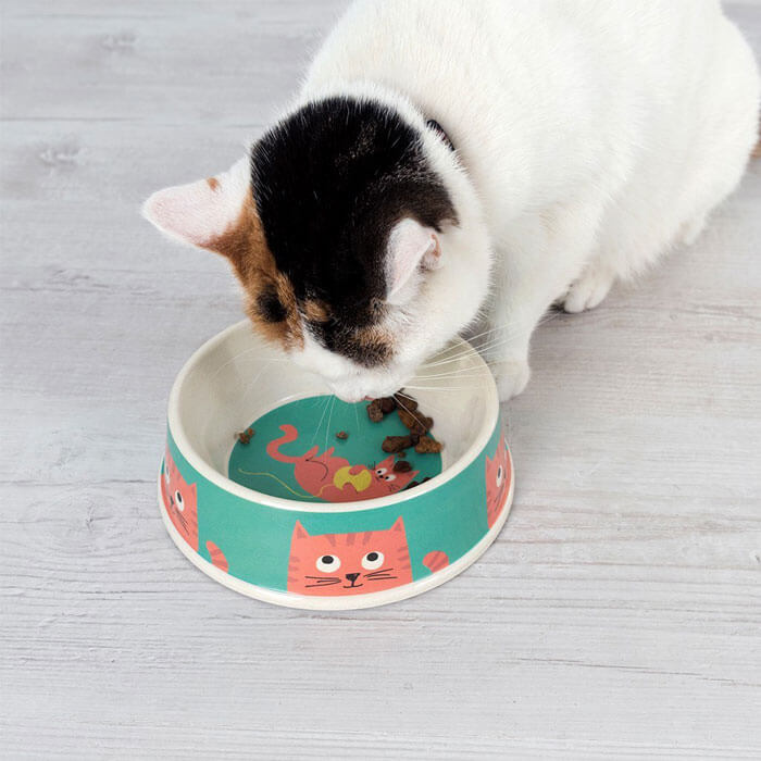 Chester Cat Food Bowl