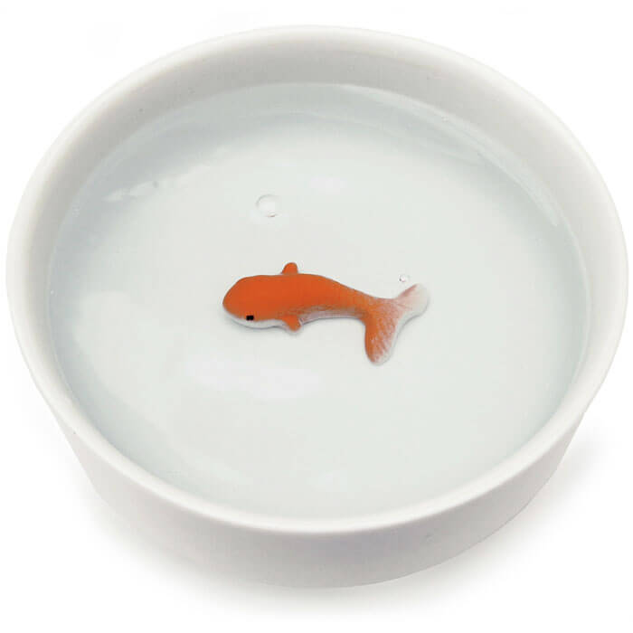 Fish Pet Bowl