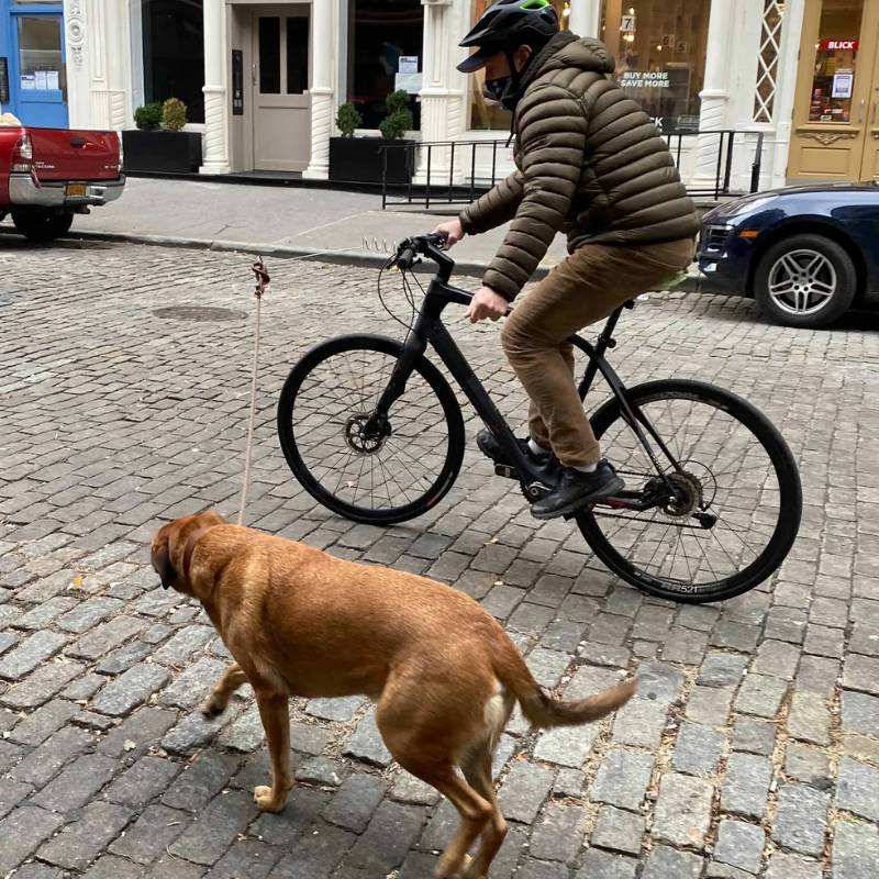 Dog Leash Bike Clip