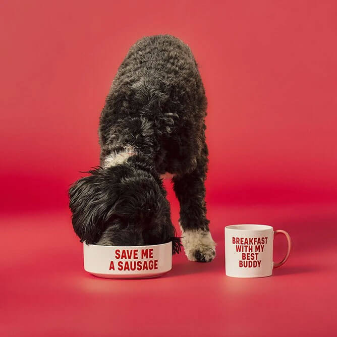 Dog Mug And Bowl Set