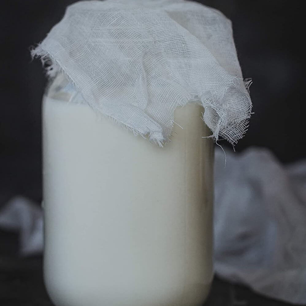 Home Made Kefir Making Kit