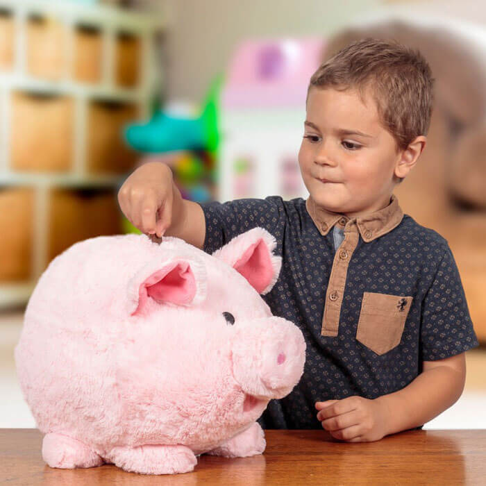 Cuddly Piggy Bank