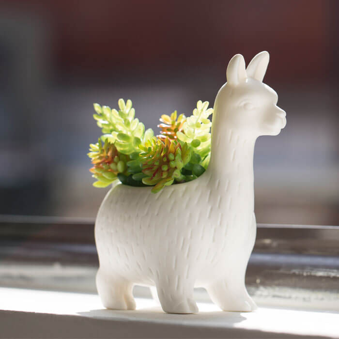 Pot de Fleur Lama