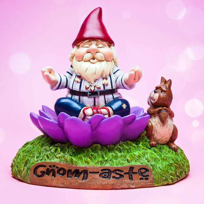 The Gnome-aste Garden Gnome