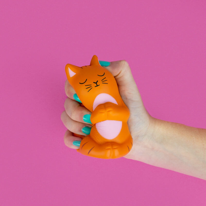 Meow-detation Stress Toy