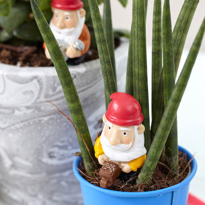 Mini Plant Pot Gnomes