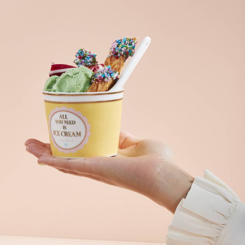 All You Need Is Ice Cream Set