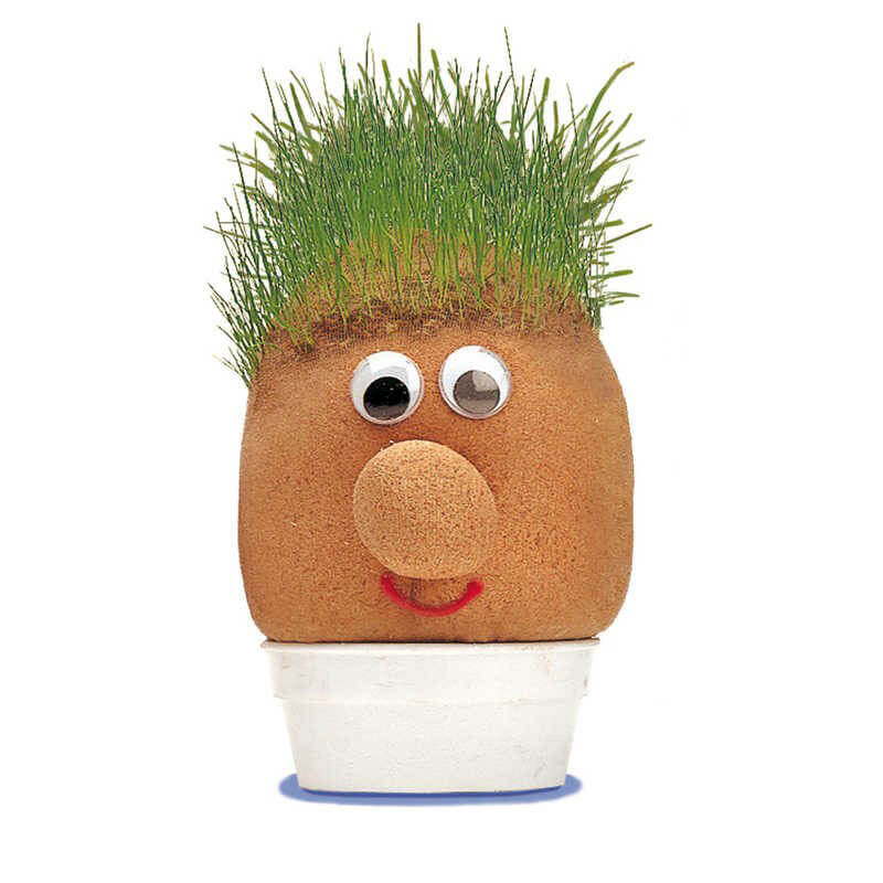 Mr Grasshead