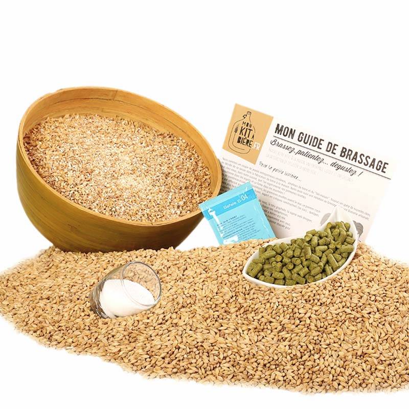 Recharge Kit de Brassage Bire IPA 5