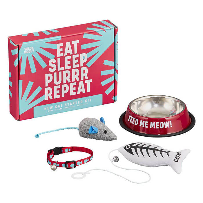 Kit Nouveau Chat