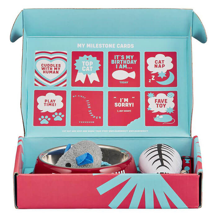 Kit Nouveau Chat