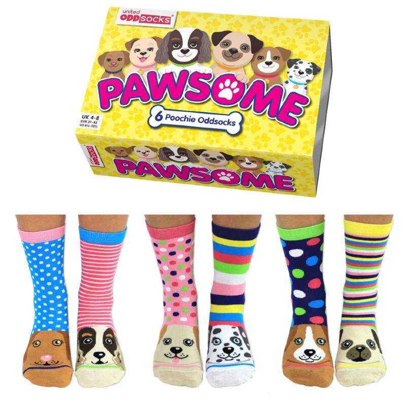 Pawsome Socken-Geschenkset