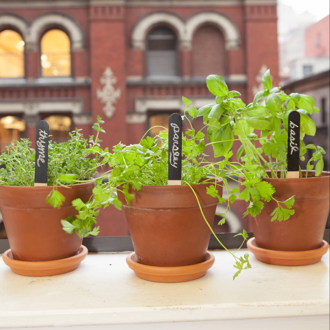 Reusable Garden Markers