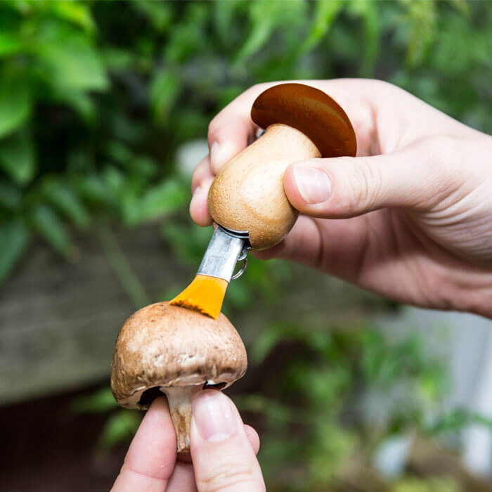 Mushroom Tool Keychain